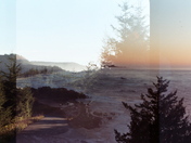 Siuslaw National Forest