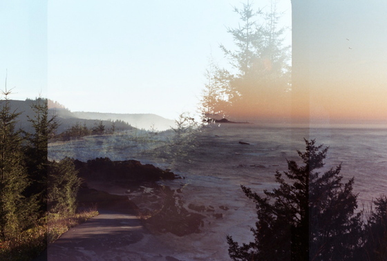 Siuslaw National Forest