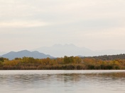 Tonto National Forest
