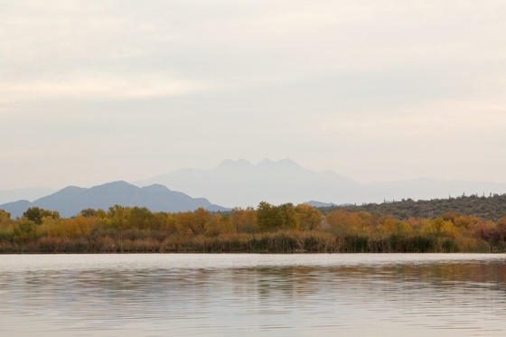 Tonto National Forest
