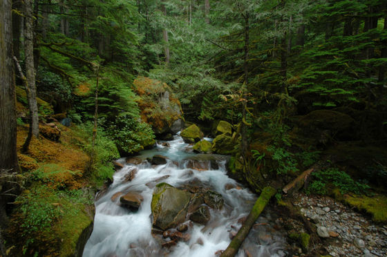 North Casades NP