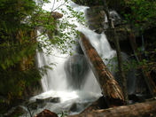 Snoqualmie National Forest