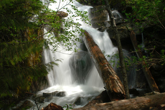 Snoqualmie National Forest