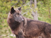 Grand Teton National Park