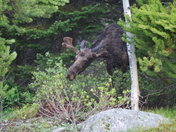 Grand Teton National Park
