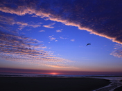 Cape Cod National Sea Shore