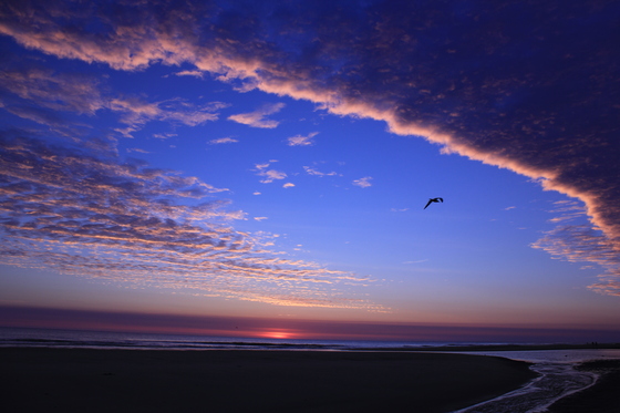 Cape Cod National Sea Shore