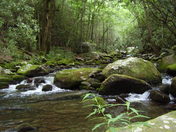 GREAT SMOKEY MOUNTAINS NATIONAL PARK