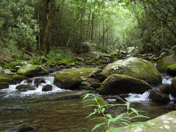 GREAT SMOKEY MOUNTAINS NATIONAL PARK