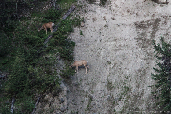 Yellowstone National Park