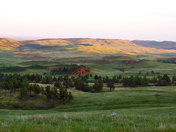 Wind cave National park