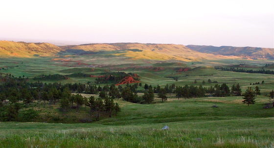 Wind cave National park