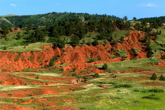Wind cave national park
