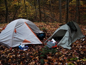 Daniel Boone National Forest