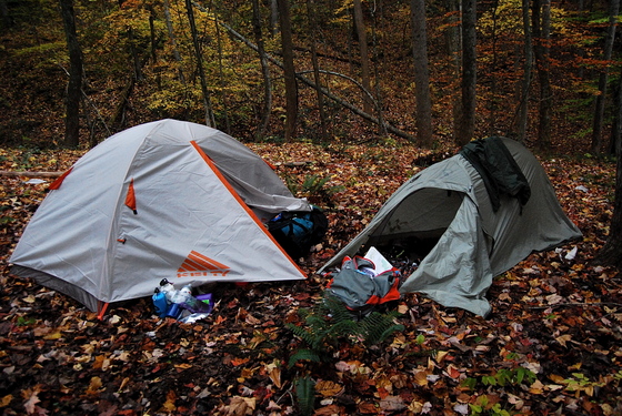 Daniel Boone National Forest