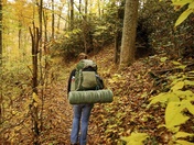 Daniel Boone National Forest