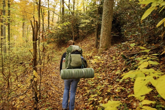 Daniel Boone National Forest