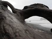 Olympia National Park