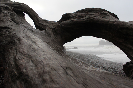 Olympia National Park