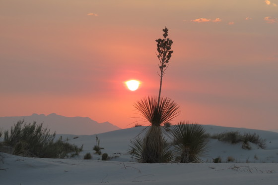 White Sands National Monument, NM