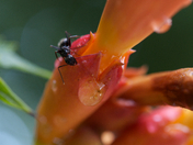 Chattahoochee River National Recreation Center 
