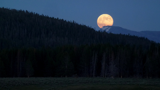 Yellowstone NP