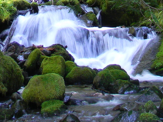 Mt. Rainier 