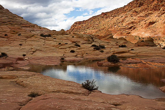  Paria Canyon-Vermilion Cliffs Wilderness Area - Coyote Buttes