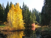 Sierra National Forest, California