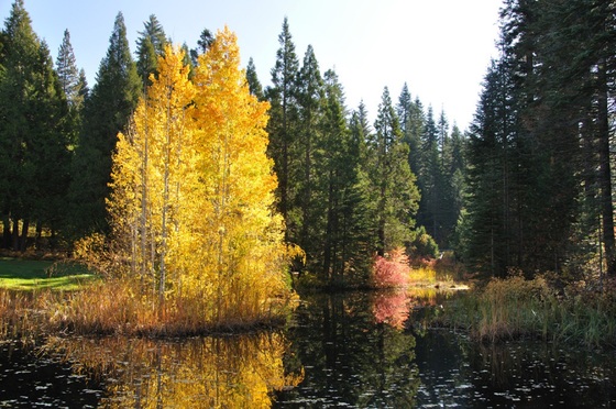 Sierra National Forest, California