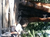 Yosemite National Park