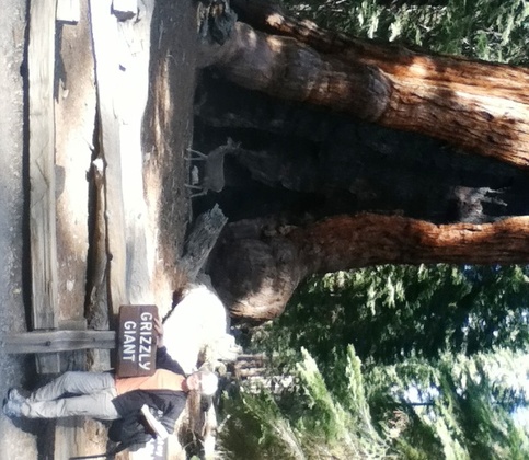 Yosemite National Park