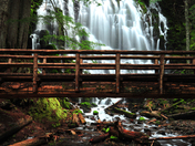 Mount Hood National Forest