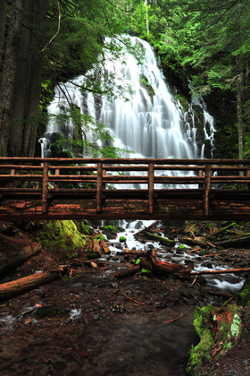 Mount Hood National Forest