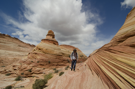  Paria Canyon-Vermillion Cliffs Wilderness