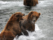 Katmai National Park