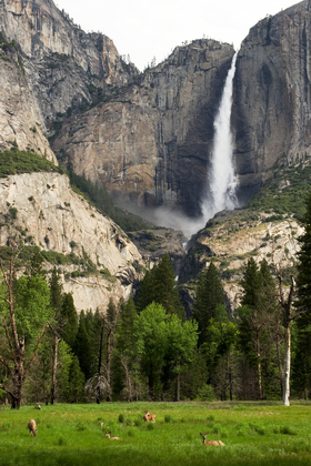 Yosemite National Park