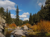 Pike National Forest