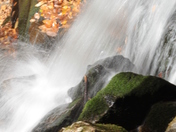 Great Smoky Mountains National Park
