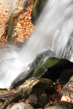 Great Smoky Mountains National Park