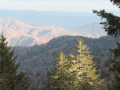 Great Smoky Mountains National Park