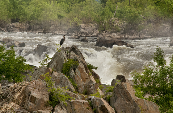 Great Falls