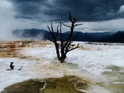 Yellowstone National Park