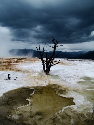 Yellowstone National Park