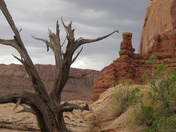 Arches National Park