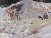 Lassen National Volcanic Park/ Bumpass Hell