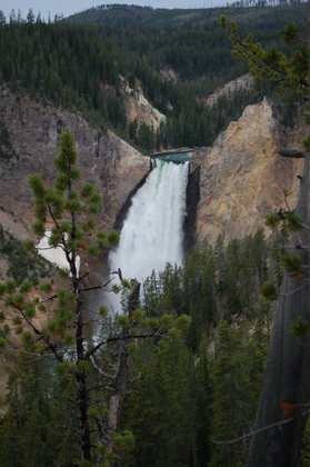 Yellowstone