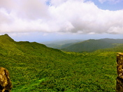 El Yunque National Forest