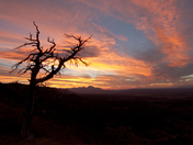 Mesa Verde National Park