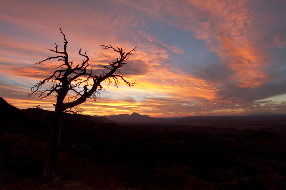 Mesa Verde National Park